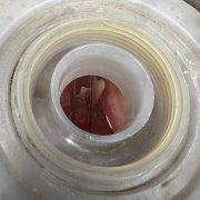 Adapter Nr. 23 för VAG & Porsche – Kylsystemtest