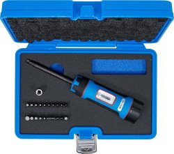 Momentskruvmejsel 1/4 1–8 Nm med bits – 22 delar