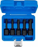 Skruvutdragare, insex & torx, 8-16 mm, 5 delar,