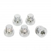 Tätningsskruv M8x1 med Tätningsring för BMW VTG – 5-pack