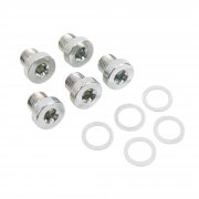 Tätningsskruv M8x1 med Tätningsring för BMW VTG – 5-pack