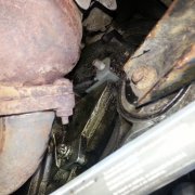 Verktygsats för Alfa, Fiat, Opel 1.6 & 1.8 16V motorer