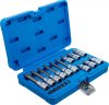 Bitshylssats Torx T10–T60, 18 delar