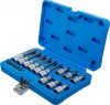Bitshylssats, Torx T10-T60, 1/4 & 1/2, 18 delar