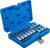 Bitshylssats Torx m. mitthål T10–T60