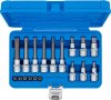 Bitshylssats, Torx m. mitthål T10-T60, 1/4 & 1/2, 18 delar
