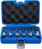 Bits- och bitshylssats, Torx T10-T70, 1/2, 27 delar