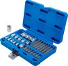 Bits- och hylssats E-profil & Torx, 30 delar