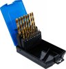 HSS TiN borrsats 1–10 mm 19 delar