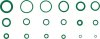 O-Ring Sortiment HNBR AC 225 delar Ø3–22 mm