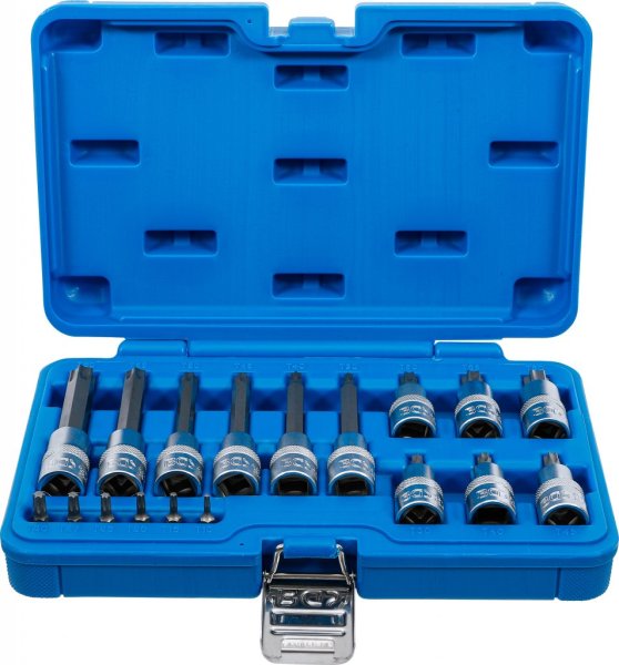Bitshylssats Torx T10–T60, 18 delar