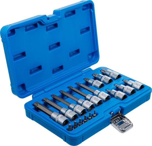 Bitshylssats Torx T10–T60, 18 delar