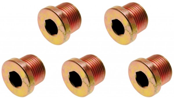 Oljeavtappningsskruvar 5-pack XX117906-126 – Reservdelar