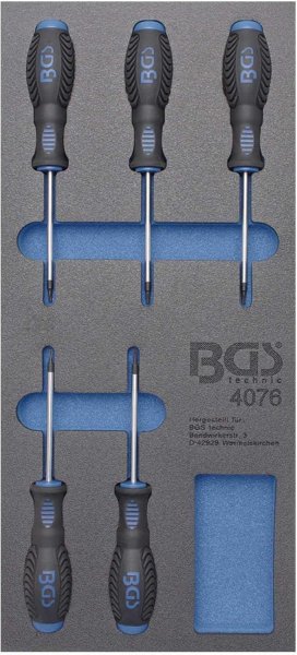 Skruvmejselsats, TORX T6-T10, 5 delar