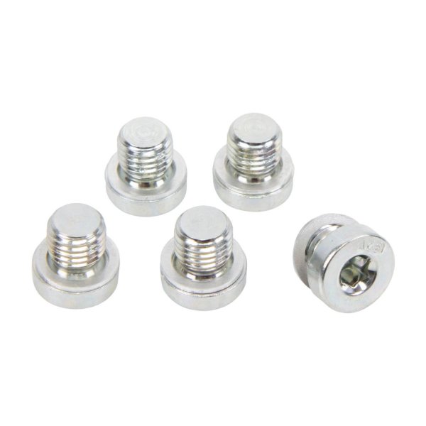 Tätningsskruv M8x1 med Tätningsring för BMW VTG – 5-pack